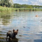 12E1D2D2-7F69-4DDB-B6B2-E51A64A98B11